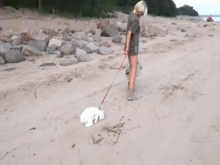 Утро понедельника