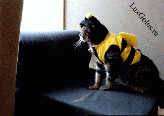 Падения супер-модели