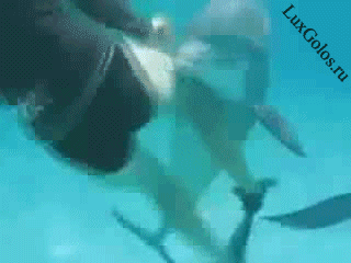 Любопытный самец, раз так не равнодушен  к девушке