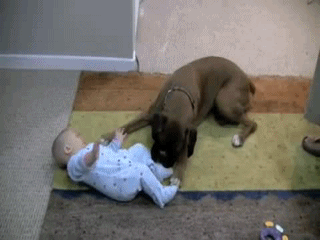 Собака - настоящий друг ребенка
