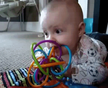 Собака копирует ребенка- а ты